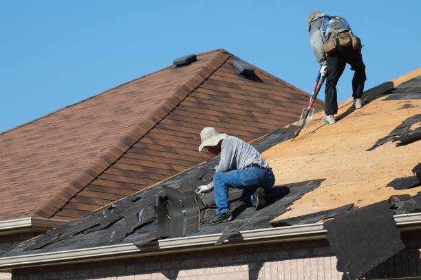 Professional  Roofing repair and installation in Dike, IA