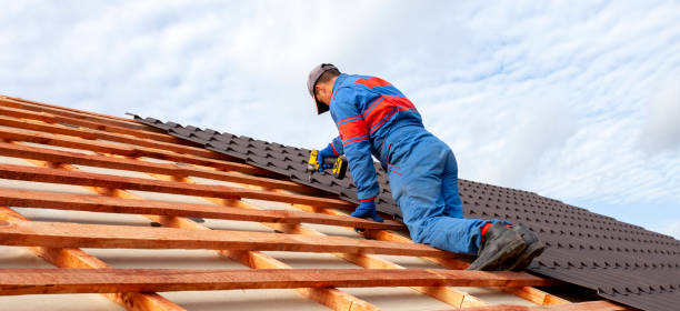 Best Chimney Flashing Repair  in Dike, IA